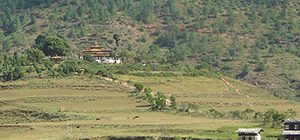 Chimi Lhakhang